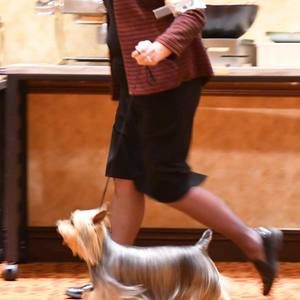 Meet your Posher, Angela